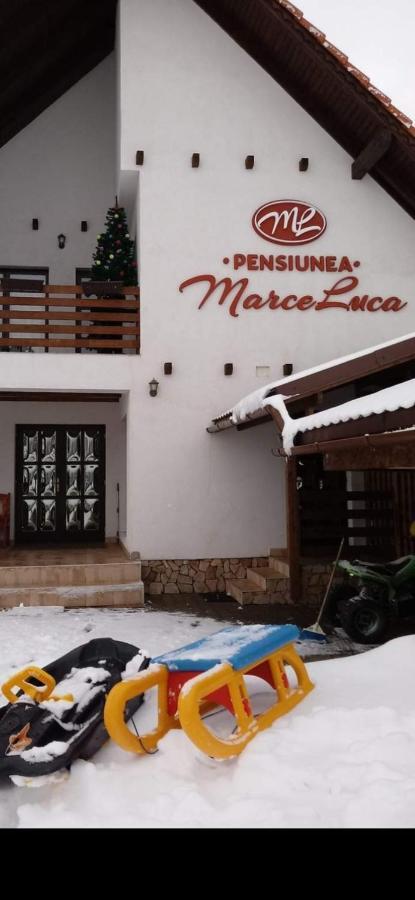Pensiunea Marceluca Hodosa Exterior foto