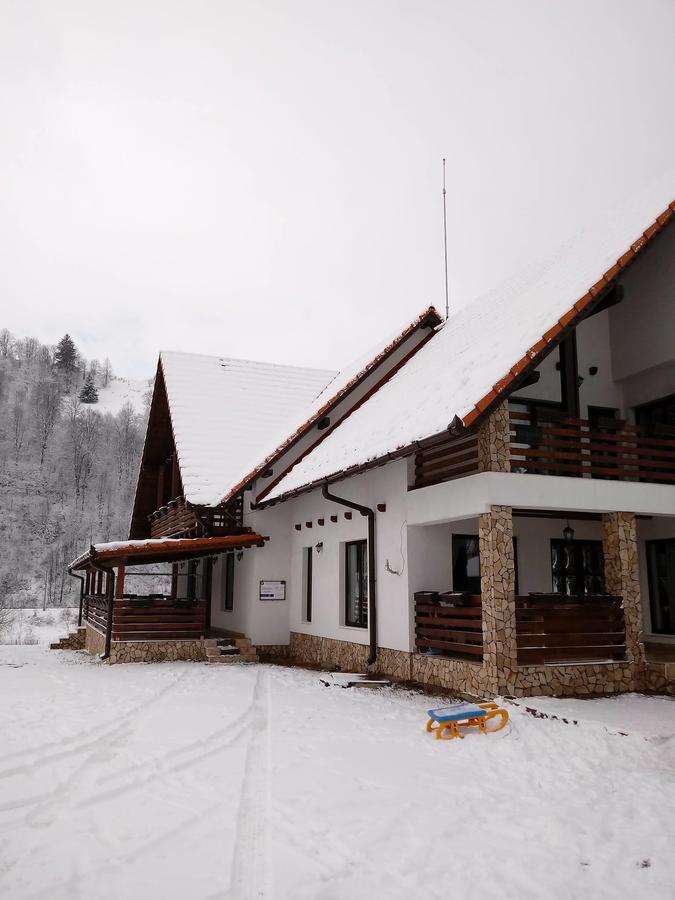 Pensiunea Marceluca Hodosa Exterior foto